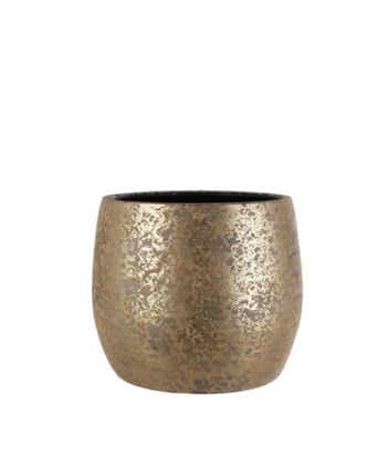 Gold Saksı XL